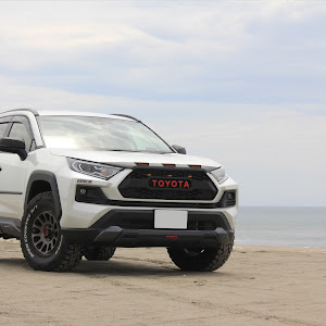 RAV4 AXAH52