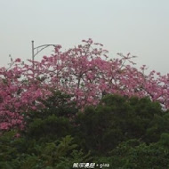 日月山景休閒農場