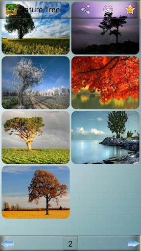 免費下載娛樂APP|Nature Tree Wallpapers app開箱文|APP開箱王