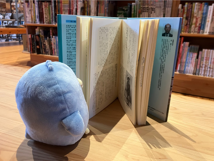 RX-8の一週間一人旅・勝間沈下橋・四国カルスト・雲の上の図書館・室戸スカイライン展望台に関するカスタム事例の投稿画像21枚目