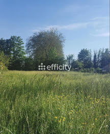 terrain à Jaligny-sur-Besbre (03)