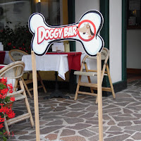 Doggy bar di 