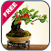 Bonsai Tree Design Ideas icon