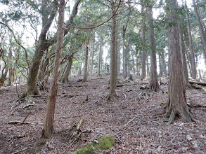 ほぼ破線の通り