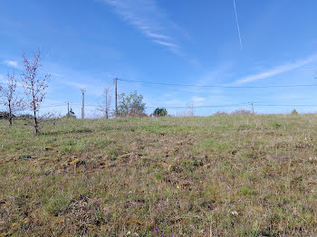 terrain à Montauban (82)