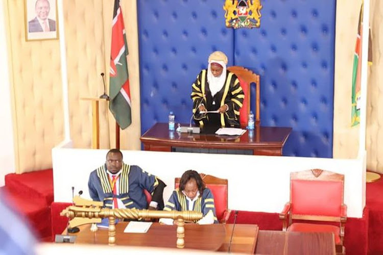 Vihiga county assembly speaker Hasna Mudeizi on Friday.