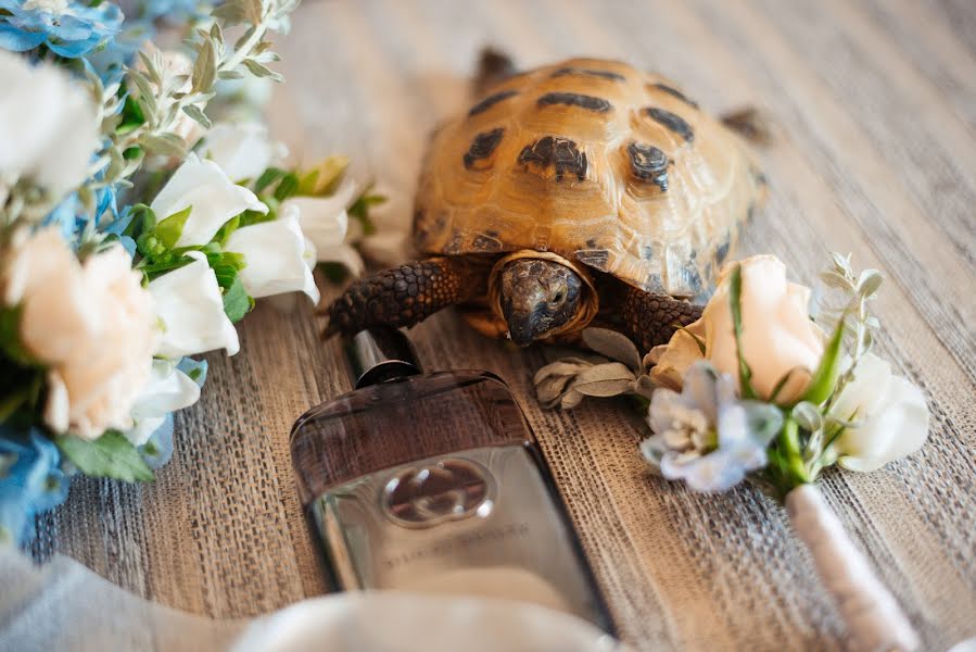 Fotografo di matrimoni Vyacheslav Linkov (vlinkov). Foto del 18 agosto 2018