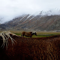 Castelluccio 2018 di 