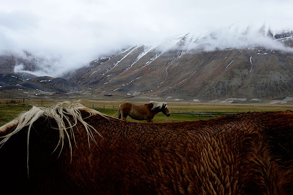 Castelluccio 2018 di faranfaluca