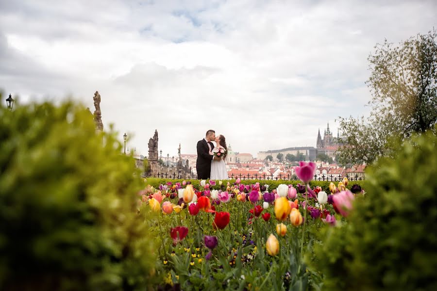 Fotógrafo de bodas Roman Lutkov (romanlutkov). Foto del 11 de agosto 2019