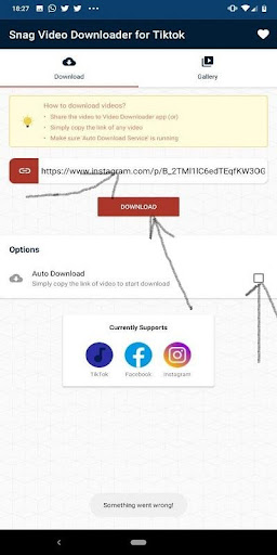 Snag Video Downloader for Tiktok