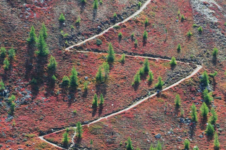 Zig zag tra i colori di ciarlymax