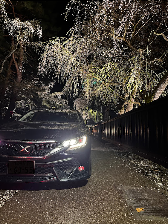 Cクラス セダンのC200AMG ライン・マークX130系後期・サクラと愛車・桜とコラボ・夜桜に関するカスタム事例の投稿画像3枚目