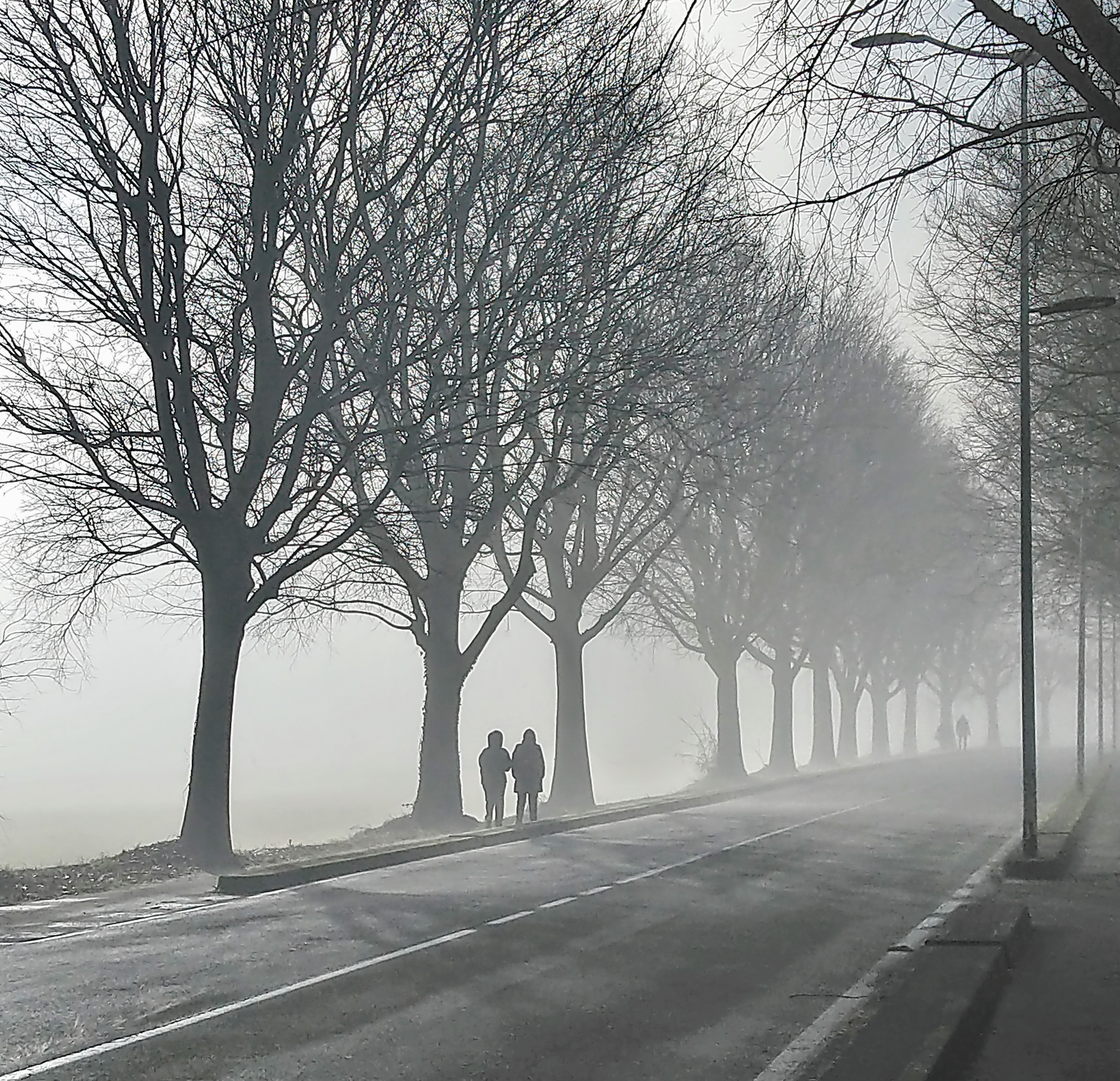 Sagome nella nebbia di donyb