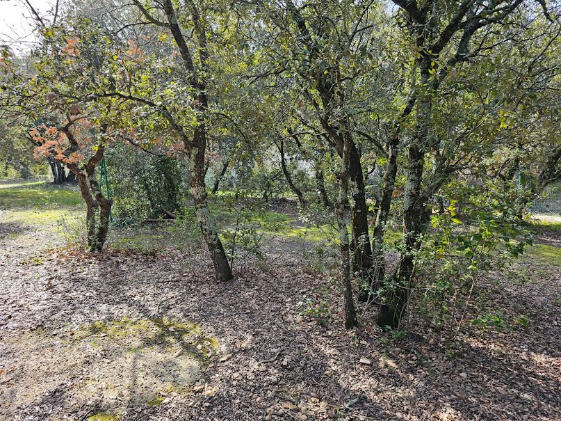 Vente terrain  1140 m² à Cabrières-d'Avignon (84220), 280 000 €