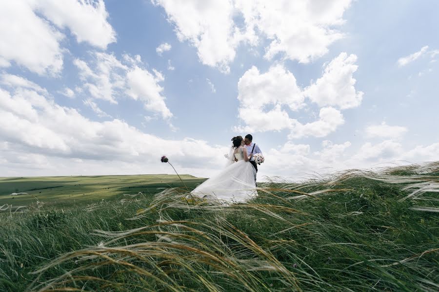 結婚式の写真家Evgeniy Mashaev (mashaev)。2017 6月8日の写真