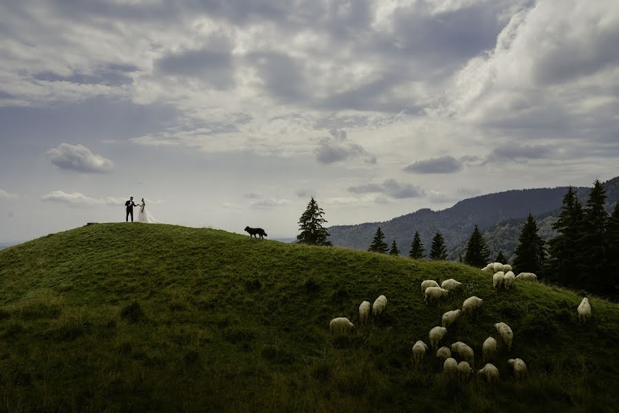 Photographer sa kasal Danut Moldoveanu (moldoveanudanut). Larawan ni 15 Nobyembre 2017