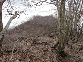 高低差の少ない尾根道