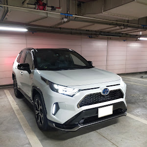 RAV4 AXAP54