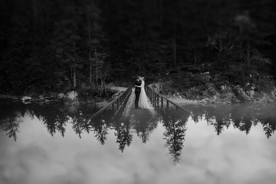 Fotógrafo de bodas Ana Paula Lobato (anapaulalobato). Foto del 6 de febrero 2021