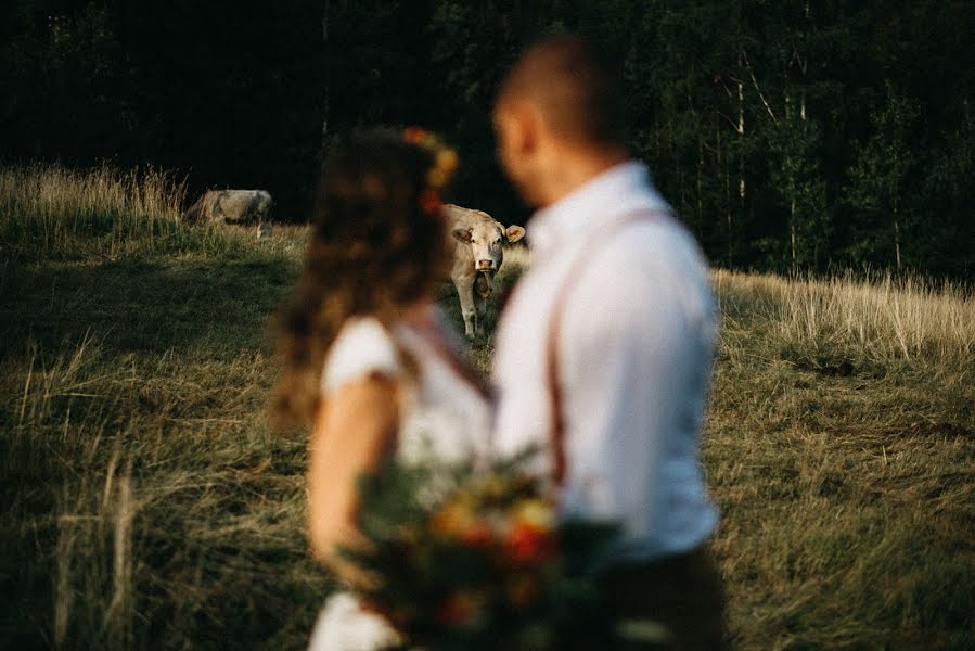 Wedding photographer Radek Šviderský (radeksvidersky). Photo of 11 June 2020