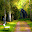 Nature Wallpaper Collection HD Download on Windows