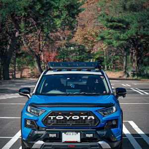 RAV4 MXAA54