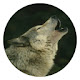 Wolf New Tabs HD Top Wallpapers Themes