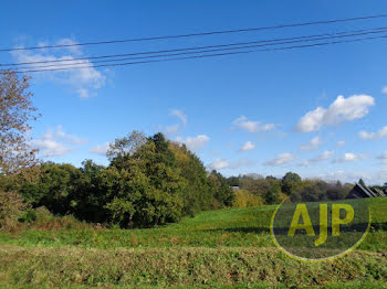 terrain à Plumelec (56)