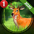 Animals Shooting New Game 2020- Games 2020 1.8