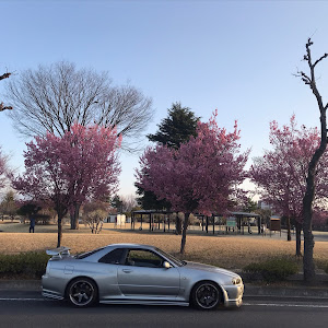 スカイライン GT-R BNR34