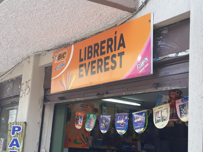 Libreria Everest