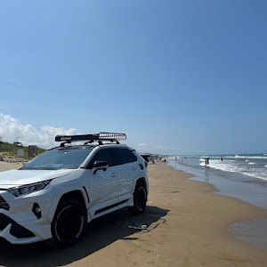 RAV4 MXAA54