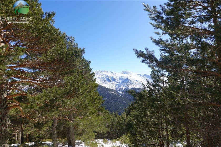 Rutas de Senderismo Explorando la naturaleza en familia