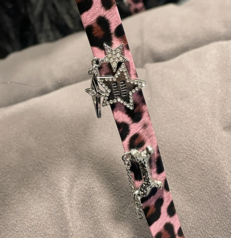Ras du cou en cuir punk XINGX léopard pour filles chaudes et stylées. L'accessoire idéal pour un look audacieux et tendance.