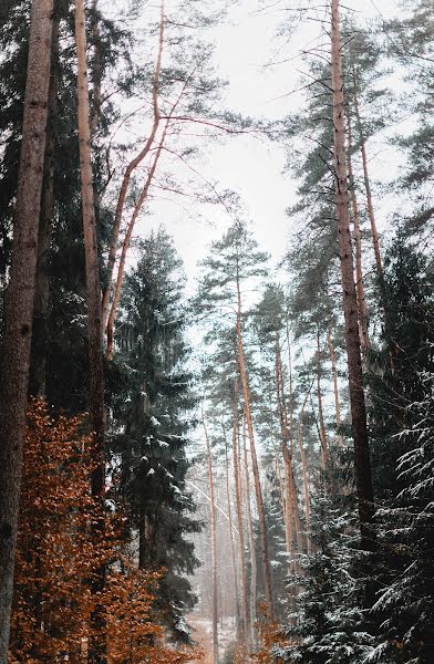 Wedding photographer Anastasiya Laukart (sashalaukart). Photo of 4 January 2018