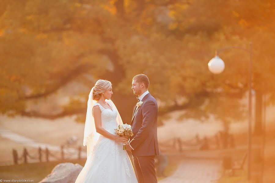 Photographe de mariage Aleksandr Sergeevich (cinemawork). Photo du 1 juin 2016