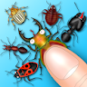 Hexapod ant smasher cockroach icon