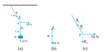 Free-Body Diagrams - FBD