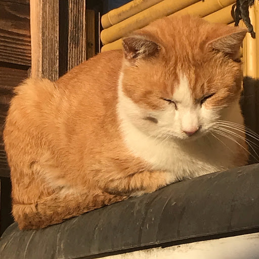 アンパン