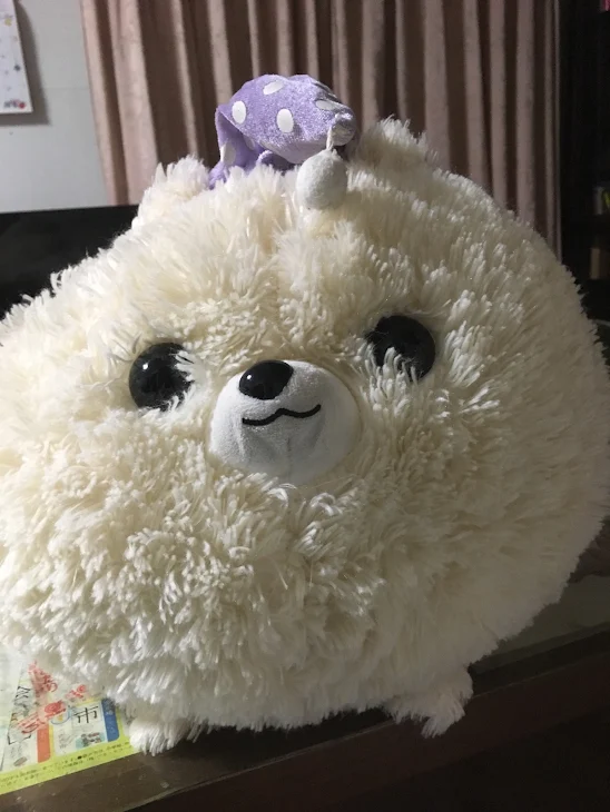 「わんこ」のメインビジュアル
