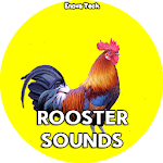 Cover Image of Download Rooster Sounds 1.0 APK