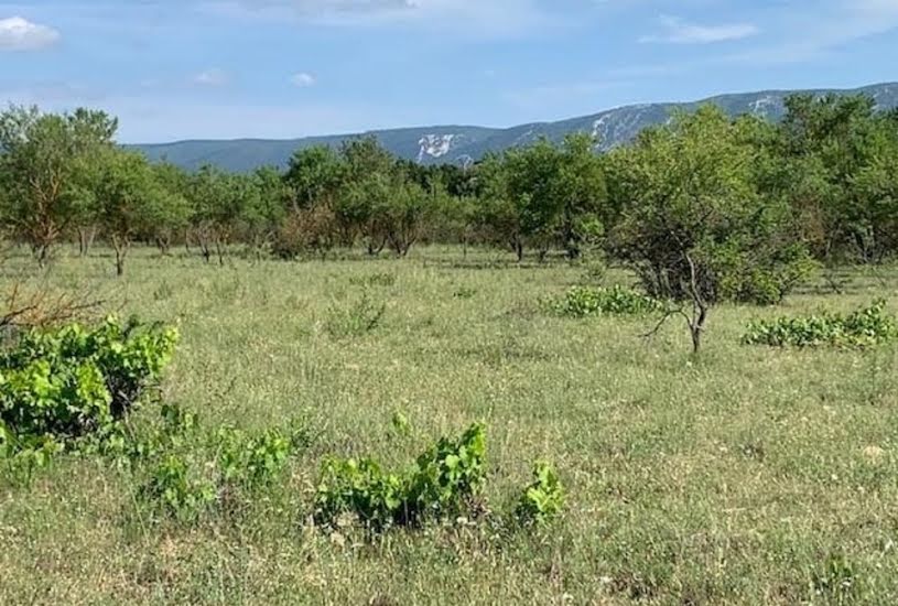  Vente Terrain à bâtir - 300m² à Cabrières-d'Avignon (84220) 