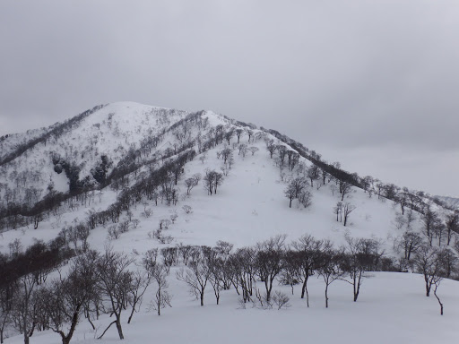 山頂へ最後の登り