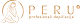 Santa logo