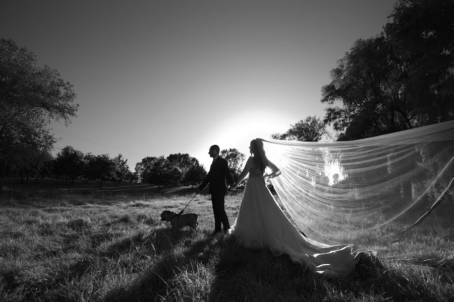 Wedding photographer Predrag Zdravkovic (predragzdravkov). Photo of 3 July 2019