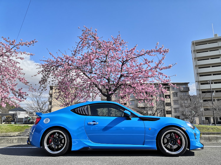 86のサクラと愛車・ADVAN Racing RG-D2・ドライブに関するカスタム事例の投稿画像6枚目
