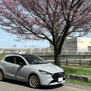 MAZDA2 DJLFS