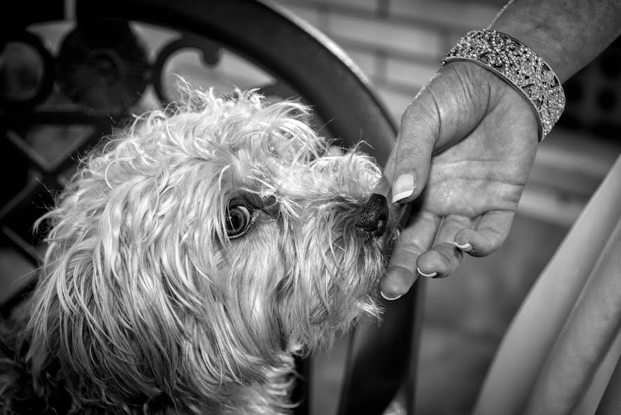 Photographe de mariage Paco Moles (moles). Photo du 24 septembre 2015