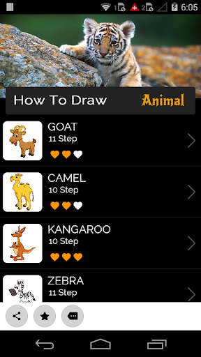 How to Draw Animal